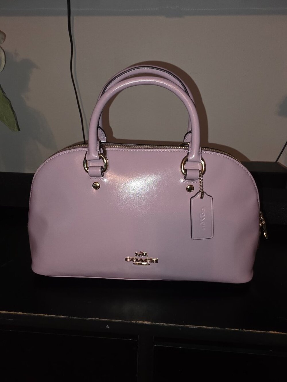 Coach Outlet Lara Satchel Bag